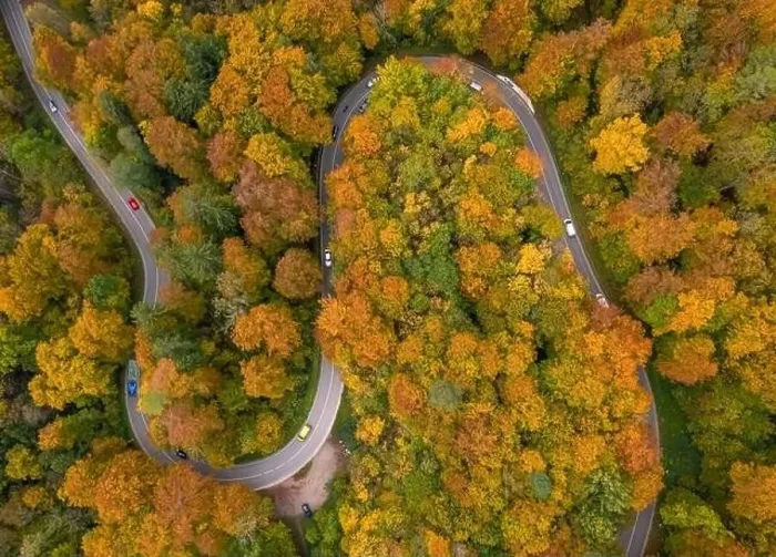 Framed Print : Wonderful drone shot from above at a colorful forest with many driving cars in autumn season Framed Print : Wonderful drone shot from above at a colorful forest with many driving cars in autumn season