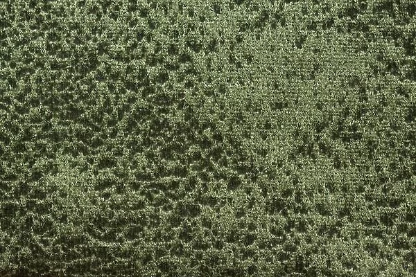 Wonderful stylish fabric texture in shiny green tone