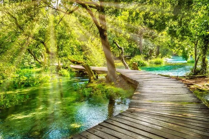 Framed Print : Wooden boardwalk in the green forest of Krka National Park Framed Print : Wooden boardwalk in the green forest of Krka National Park