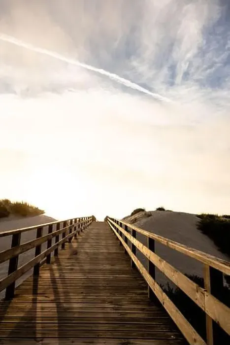 Framed Print : A wooden boardwalk between the sand dunes towards the sea at a beautiful sunset Framed Print : A wooden boardwalk between the sand dunes towards the sea at a beautiful sunset