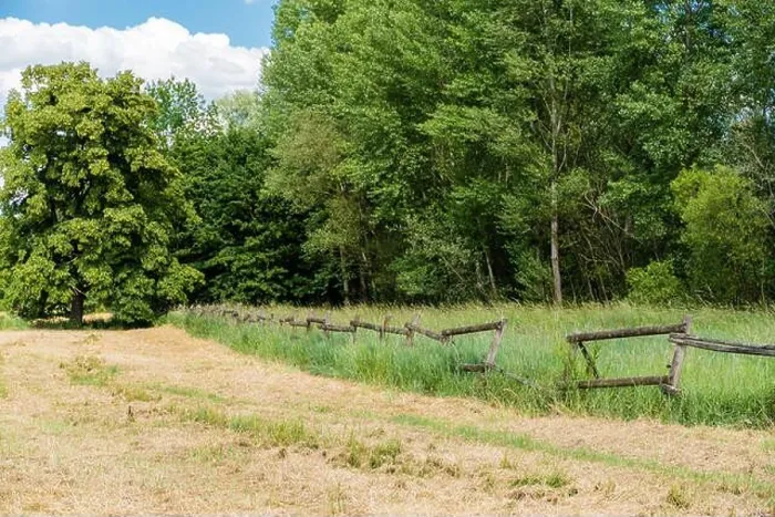 Framed Print : A wooden fence between a mown meadow and a grove on a nice early summer day Framed Print : A wooden fence between a mown meadow and a grove on a nice early summer day