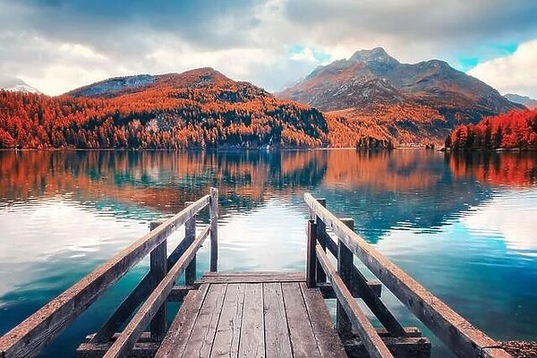 Wooden pier on autumn lake Sils (Silsersee) in Swiss Alps. Snowy mountains and orange trees on background