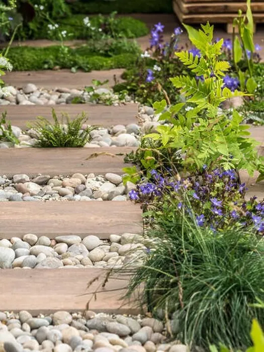 Framed Print : Wooden planks used as path surrounded by pebbles and interspersed with plants in garden Framed Print : Wooden planks used as path surrounded by pebbles and interspersed with plants in garden