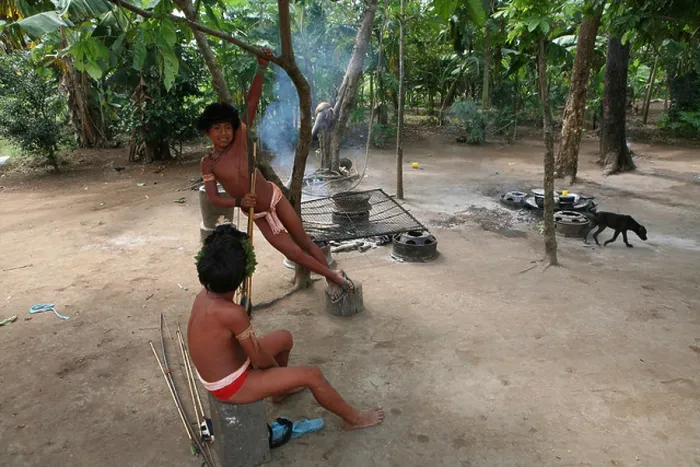 Framed Print : Xingu indians paint their body, Amazone, Brazil Framed Print : Xingu indians paint their body, Amazone, Brazil