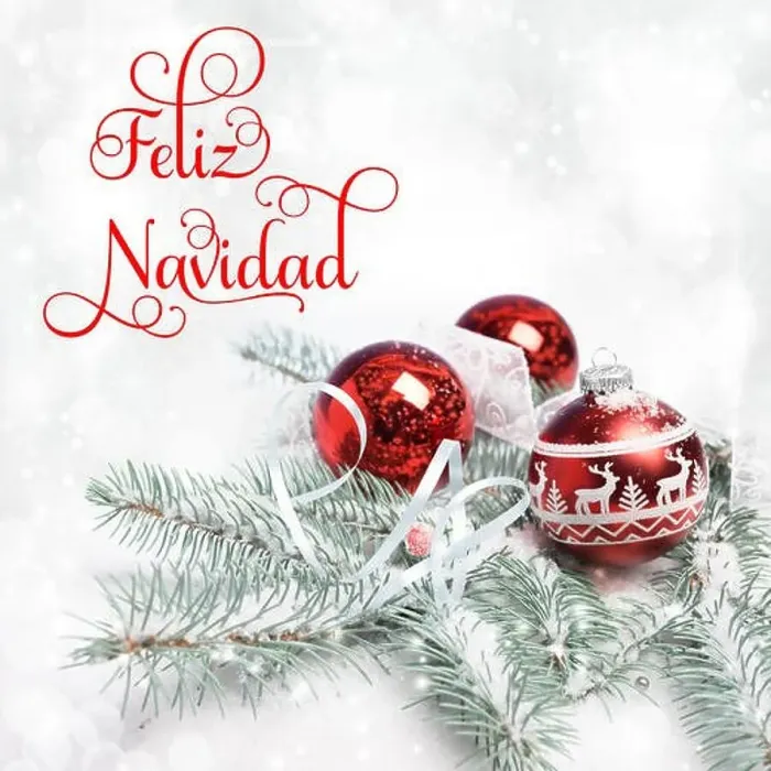 Framed Print : Xmas tree, decorated branches on snow, text Feliz Navidad, or Merry Christmas in Spanish Framed Print : Xmas tree, decorated branches on snow, text Feliz Navidad, or Merry Christmas in Spanish