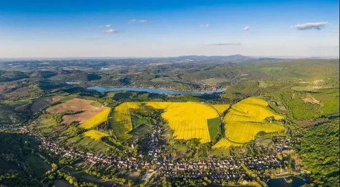 Framed Print : yellow canola field with blue sky Framed Print : yellow canola field with blue sky