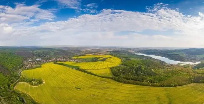 Framed Print : yellow canola field with cloudy sky
