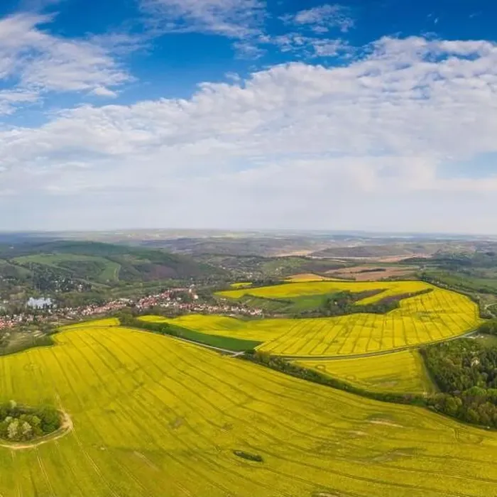 Framed Print : yellow canola field with cloudy sky Framed Print : yellow canola field with cloudy sky