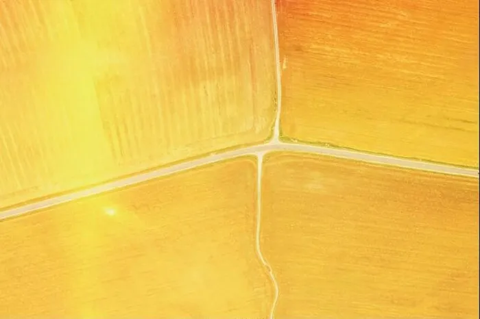 Framed Print : yellow Clusters Of Agricultural Fields Sown With Different Crops. Aerial View country road through fields. Golden Wheat Agricultural Summer Season Framed Print : yellow Clusters Of Agricultural Fields Sown With Different Crops. Aerial View country road through fields. Golden Wheat Agricultural Summer Season