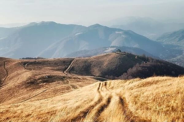 Yellow grass trembling in the wind in autumn mountains at sunrise. Carpathian mountains, Ukraine. Landscape photography