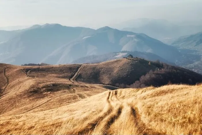Framed Print : Yellow grass trembling in the wind in autumn mountains at sunrise. Carpathian mountains, Ukraine. Landscape photography Framed Print : Yellow grass trembling in the wind in autumn mountains at sunrise. Carpathian mountains, Ukraine. Landscape photography