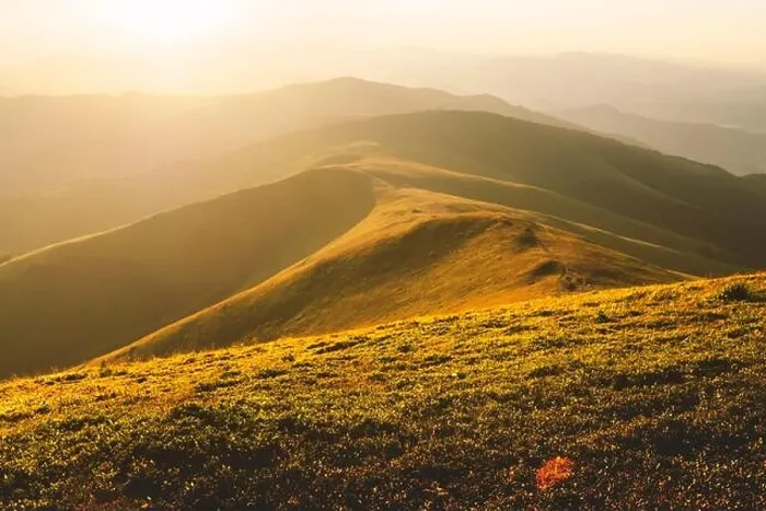 Framed Print : Yellow grass trembling in the wind in autumn mountains at sunrise. Carpathian mountains, Ukraine. Landscape photography Framed Print : Yellow grass trembling in the wind in autumn mountains at sunrise. Carpathian mountains, Ukraine. Landscape photography