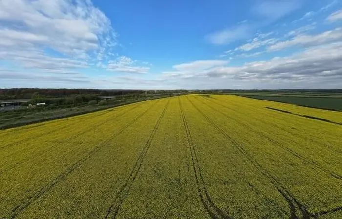 Framed Print : Yellow Rapeseed Field in West Yorkshire, captured by aerial drone Framed Print : Yellow Rapeseed Field in West Yorkshire, captured by aerial drone