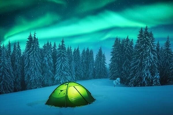 Yellow tent lighted from the inside against the backdrop of incredible starry sky with Aurora borealis. Amazing night landscape