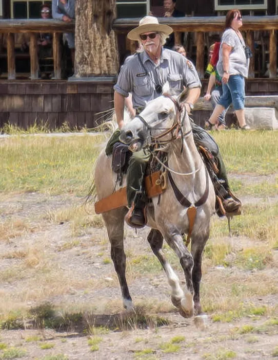 Framed Print : Yellowstone Park ranger riding his horse Framed Print : Yellowstone Park ranger riding his horse