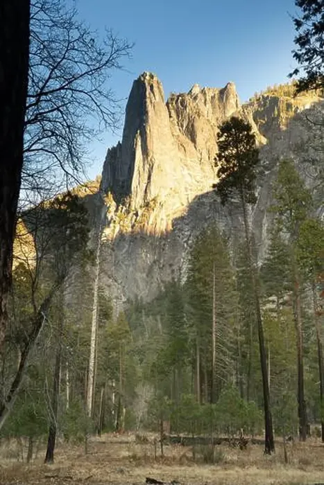 Framed Print : Yosemite National Park, El Capitan, views of granite cliffs and forest floor at sunset Framed Print : Yosemite National Park, El Capitan, views of granite cliffs and forest floor at sunset