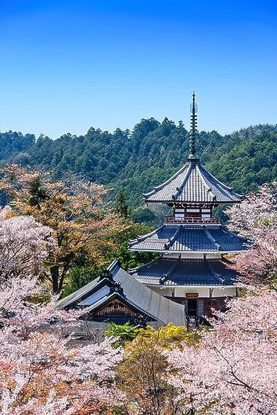 Yoshinoyama, Japan at Kinpusenji Temple Pagoda