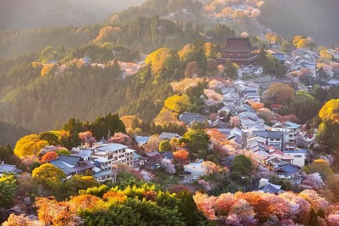 Framed Print : Yoshinoyama, Nara, Japan in spring season at dusk Framed Print : Yoshinoyama, Nara, Japan in spring season at dusk