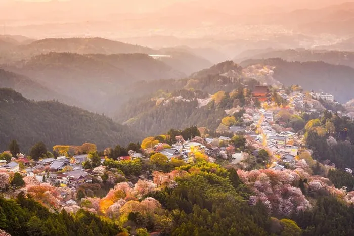 Framed Print : Yoshinoyama, Nara, Japan view of town and cherry trees during the spring season Framed Print : Yoshinoyama, Nara, Japan view of town and cherry trees during the spring season