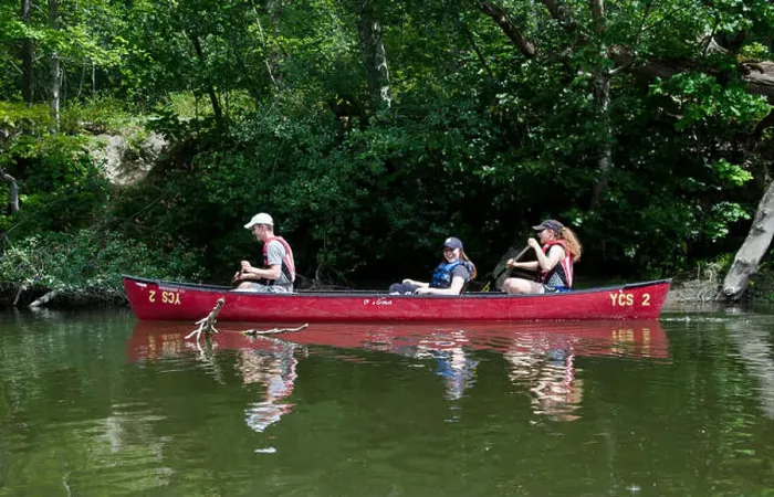 Framed Print : Three young adults in family paddling in a canoe on the Royal River in Yarmouth Maine, summer, USA Framed Print : Three young adults in family paddling in a canoe on the Royal River in Yarmouth Maine, summer, USA