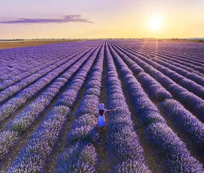 Framed Print : Young girl walking in the lavender field and stunning sunset sky at the background. Brihuega, Spain Framed Print : Young girl walking in the lavender field and stunning sunset sky at the background. Brihuega, Spain