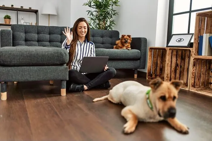 Framed Print : Young hispanic woman having video call sitting on floor with dogs at home Framed Print : Young hispanic woman having video call sitting on floor with dogs at home