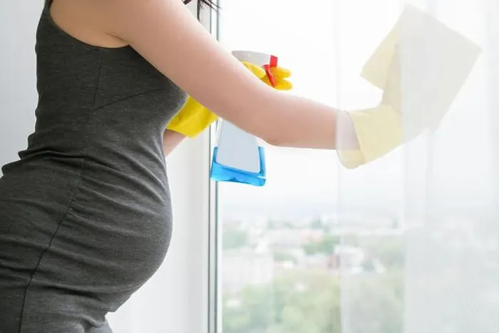 Framed Print : Young pregnant woman is cleaning window Framed Print : Young pregnant woman is cleaning window