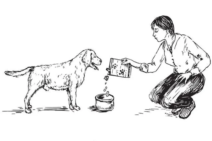 Framed Print : Young woman feeding dog, hand drawn doodle, sketch, black and white illustration Framed Print : Young woman feeding dog, hand drawn doodle, sketch, black and white illustration