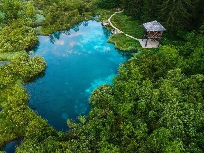 Framed Print : Zelenci Springs in Slovenia Nature Reserve. Turquoise Water in Alpine Pond Framed Print : Zelenci Springs in Slovenia Nature Reserve. Turquoise Water in Alpine Pond