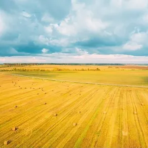 Aerial View Of Autumn Hay Rolls Straw Field Landscape. Haystacks, Hay Rolls. Harvest Season Aerial View Of Autumn Hay Rolls Straw Field Landscape. Haystacks, Hay Rolls. Harvest Season