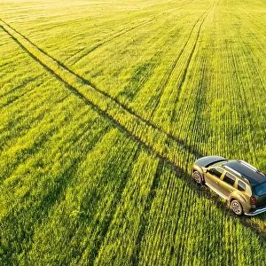 Aerial view of Renault Duster car SUV driving on countryside road in spring field rural landscape. Car driving on corn maize plantation