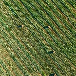 Aerial View of Summer Field Landscape With With Dry Hay Bales During Harvest. Trails Lines on Farmland. Top View Agricultural Landscape. Drone View. B