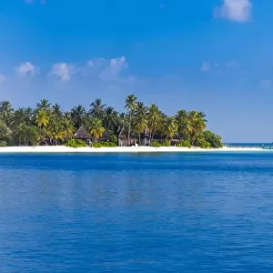 Amazing tropical beach in Maldives with few palm trees and blue lagoon