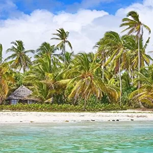 Beach near Pingwe, Zanzibar, Tanzania, East Africa