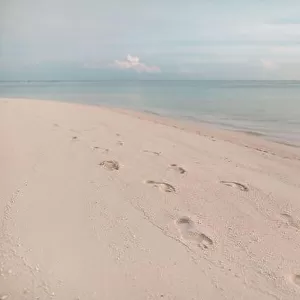 Beach, wave and footsteps at sunset time. Relaxing beach landscape