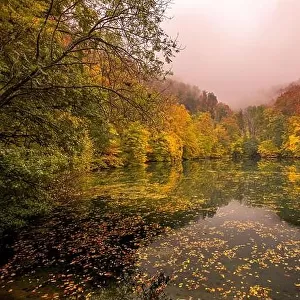 Beautiful, colorful autumn lake. Amazing water reflection, peaceful nature scenery. Yellow orange leaves, misty morning light. Relax autumnal fall