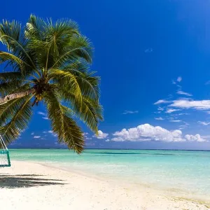 Beautiful tropical beach, Maldives Beautiful tropical beach, Maldives