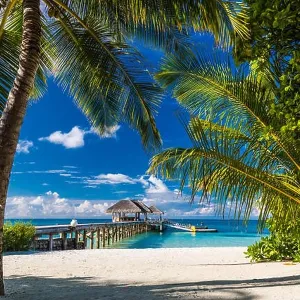 Beautiful tropical beach, Maldives Beautiful tropical beach, Maldives