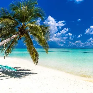 Beautiful tropical beach, Maldives Beautiful tropical beach, Maldives