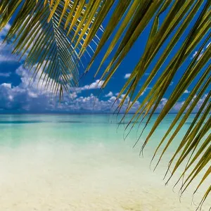 Beautiful tropical beach, Maldives Beautiful tropical beach, Maldives