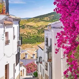 Blooming flowers on the street, White Village of Zahara de la Sierra, Andalusia, Spain Blooming flowers on the street, White Village of Zahara de la Sierra, Andalusia, Spain
