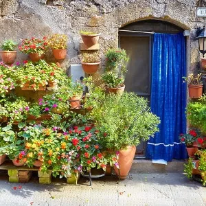 City street decorated with flowers, Pitigliano, Tuscany, Italy City street decorated with flowers, Pitigliano, Tuscany, Italy