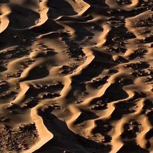 Contrasted abstract of the Oxide rich red sand dunes in the great sand sea of Namibia Contrasted abstract of the Oxide rich red sand dunes in the great sand sea of Namibia