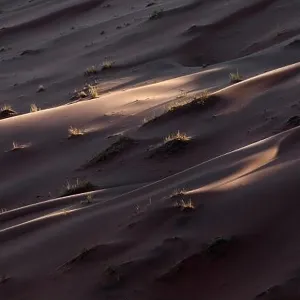 Details of a sand dune in Namibia Details of a sand dune in Namibia