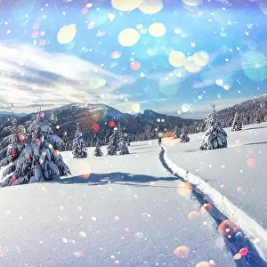 Fantastic winter landscape with snowy trees in high mountains. DOF bokeh light postprocessing effect. Christmas holiday collage