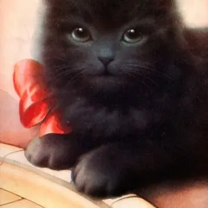 Good Luck Cat 1950s postcard with a lucky black cat to the fore and a pretty red silk bow to complete the ensemble Good Luck Cat 1950s postcard with a lucky black cat to the fore and a pretty red silk bow to complete the ensemble