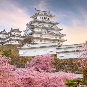 Himeji, Japan at Himeji Castle in spring with cherry blossoms in full bloom