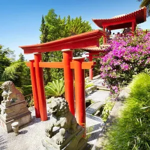 Japanese japan oriental tropical garden - Monte, Madeira Island, Portugal Japanese japan oriental tropical garden - Monte, Madeira Island, Portugal
