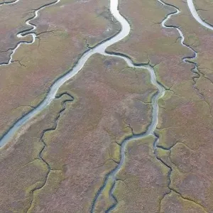 Narrow channels meander through a beautiful estuary in Central California. Estuaries form when freshwater runoff meets and mixes with seawater Narrow channels meander through a beautiful estuary in Central California. Estuaries form when freshwater runoff meets and mixes with seawater