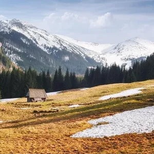 Old wooden hut in spring High Tatras mountains in Kalatowki meadow, Zakopane, Poland. Crocus flowers on a foreground. Landscape photography